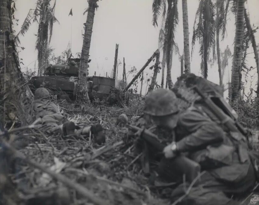 Know Your WW2 Pacific War History: The Battle of Peleliu – A Meat ...