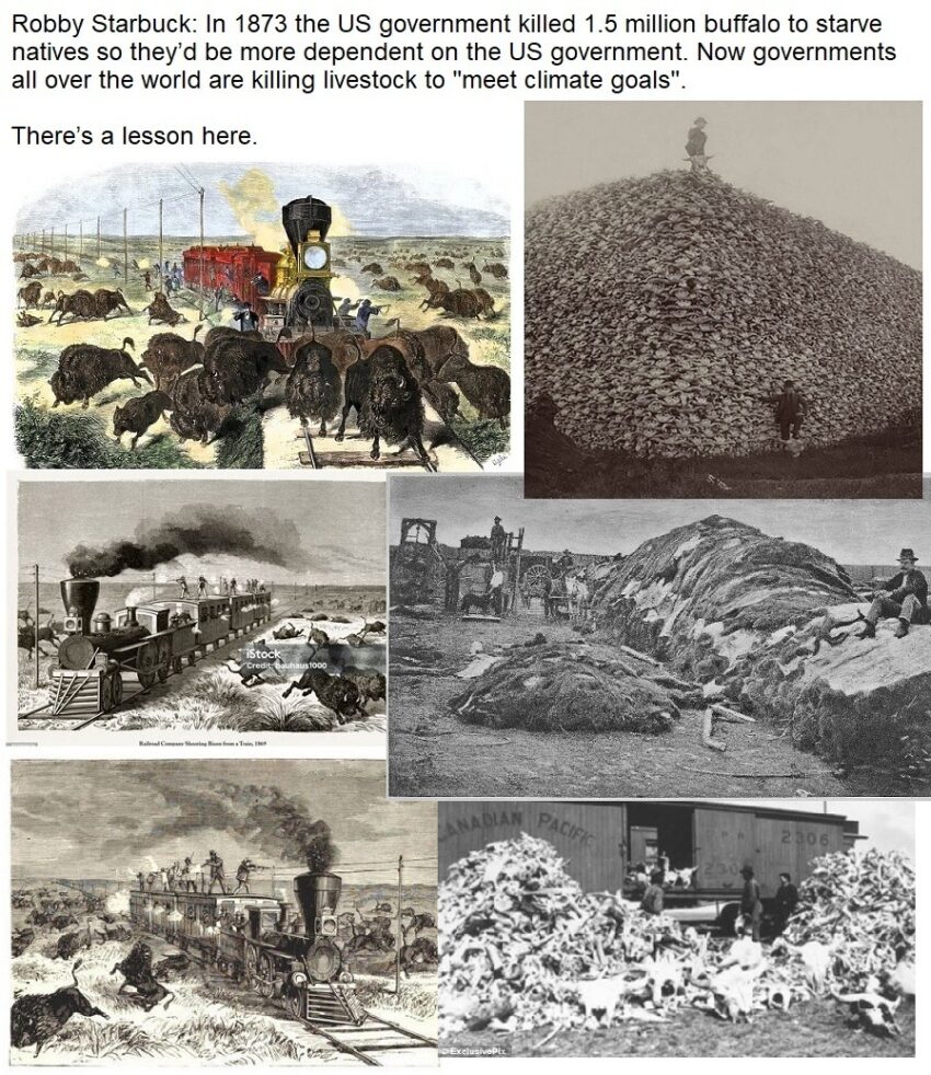 Prepping 101 Food Storage & Shelf Life Charts From Months To 25+ Years