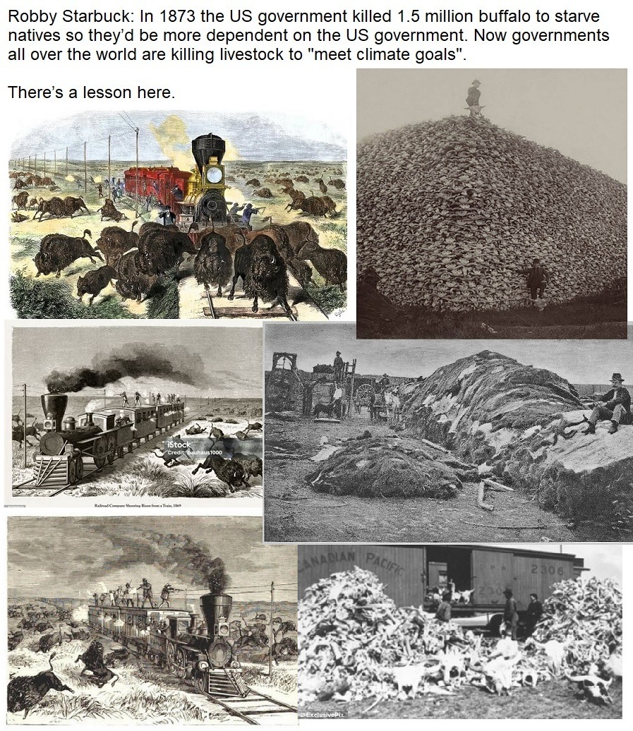 Prepping 101 Food Storage & Shelf Life Charts From Months To 25+ Years